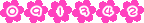 �A�N�Z�X�J�E���^�[